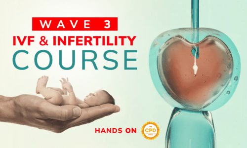 Infertility and IVF WAVE-3 2023