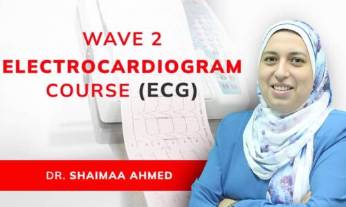 ECG / EKG ELECTROCARDIOGRAM Wave 2