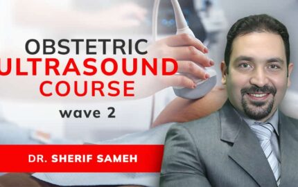 Gynecological and Obstetric Ultrasound Wave 2