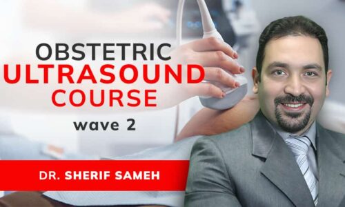 Gynecological and Obstetric Ultrasound Wave 2